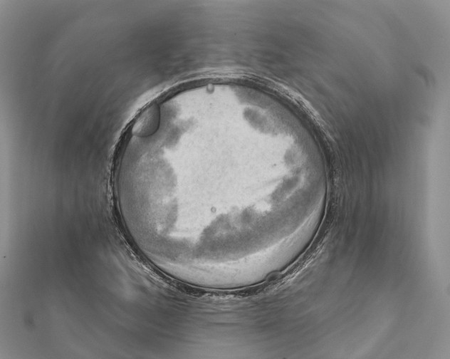 X0000112101168200909011118