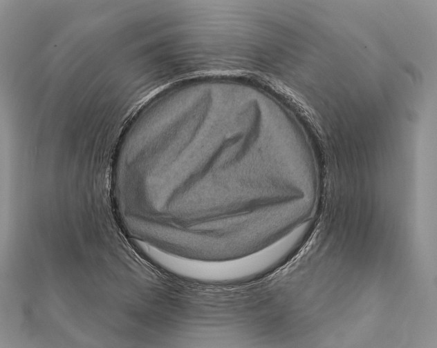 X0000112101169200909011118