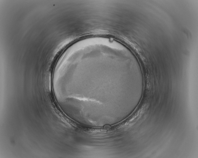 X0000112101171200909011118