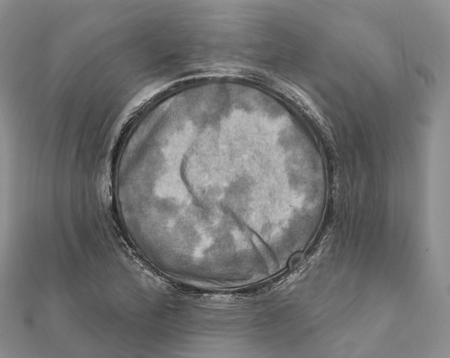 X0000112101172200909011118