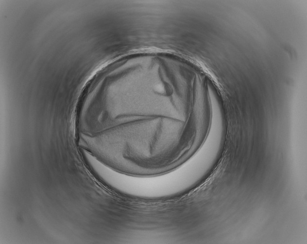 X0000112101173200909011118