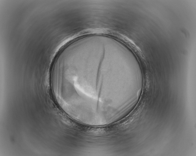 X0000112101174200909011118