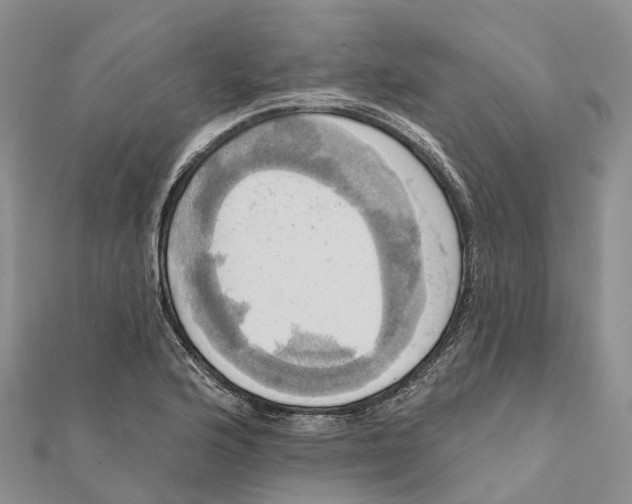 X0000112101176200909011118