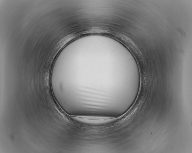 X0000112101177200909011118