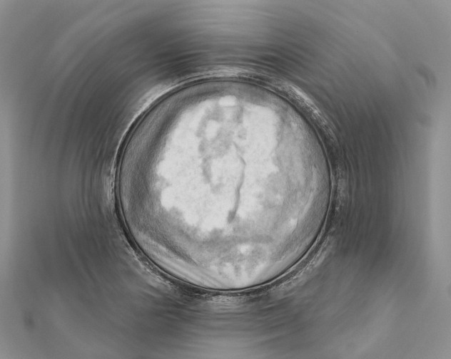 X0000112101178200909011118