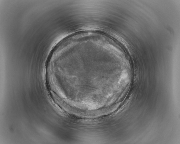 X0000112101179200909011118