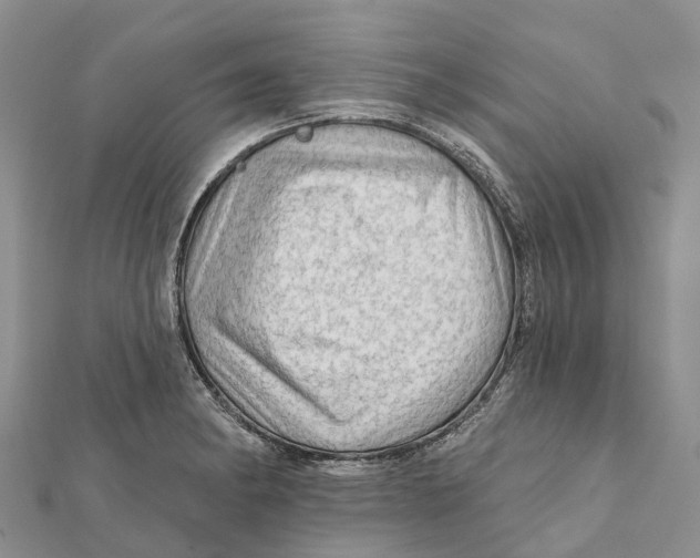 X0000112101182200909011118