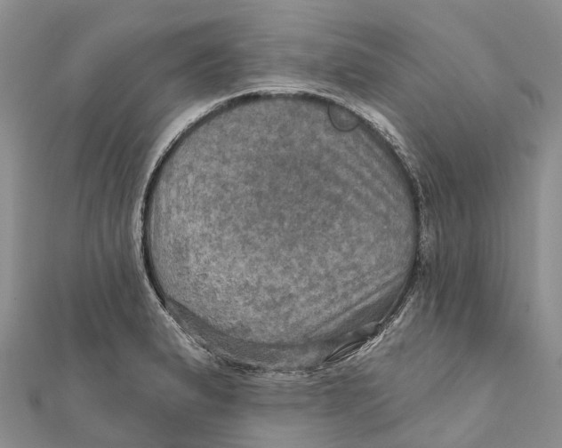 X0000112101183200909011118