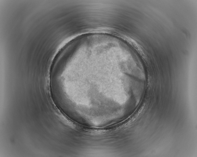 X0000112101184200909011118