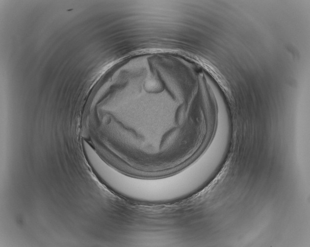 X0000112101185200909011118