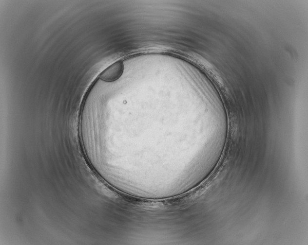 X0000112101186200909011118