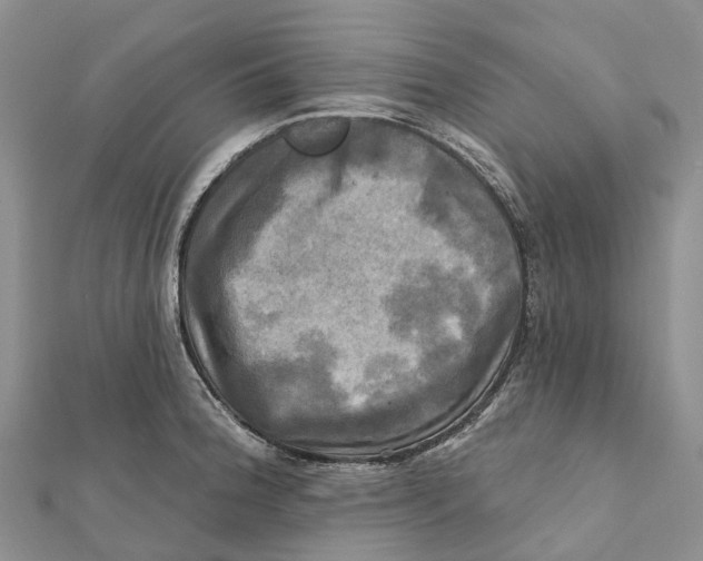 X0000112101188200909011118