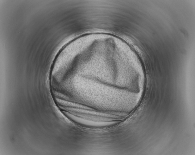 X0000112101189200909011118