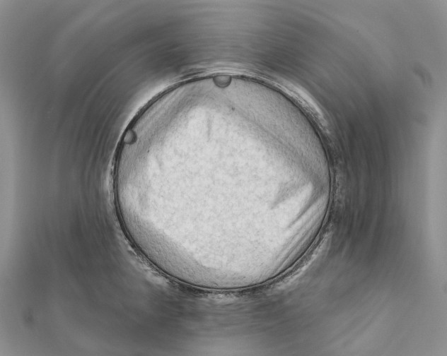 X0000112101190200909011118