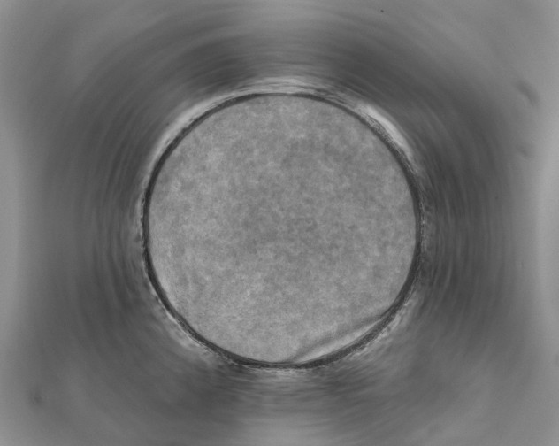 X0000112101192200909011118