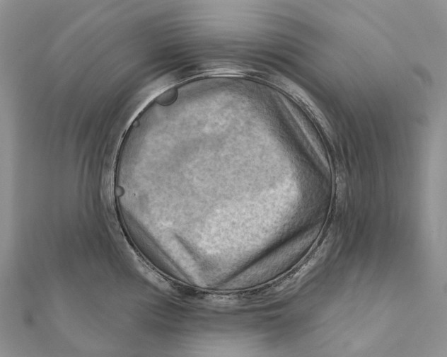 X0000112101194200909011118