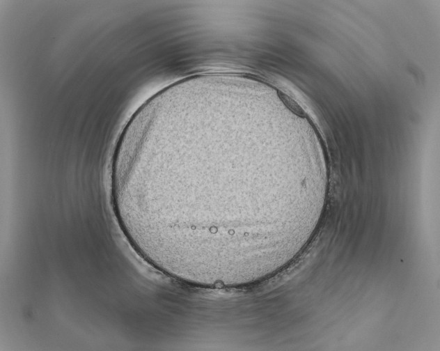 X0000112101195200909011118