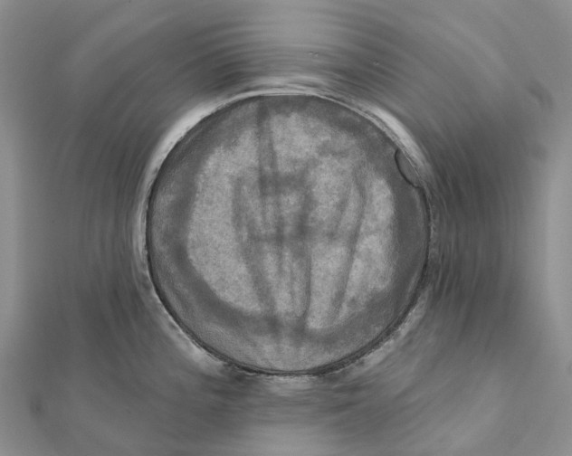 X0000112101196200909011118