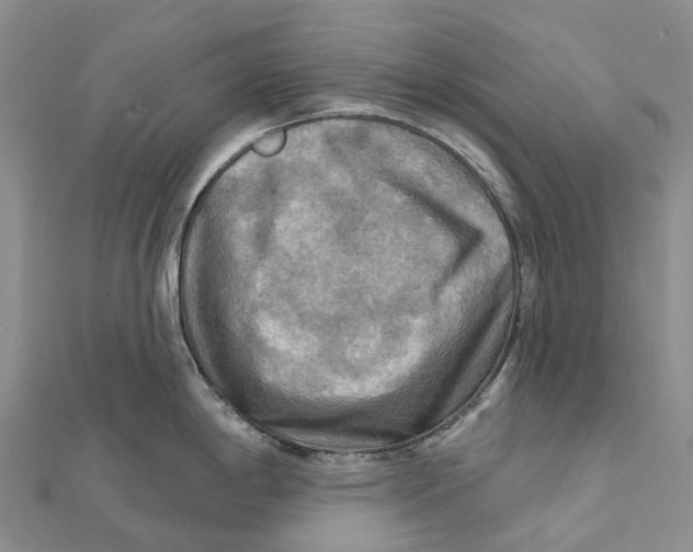 X0000112101198200909011118