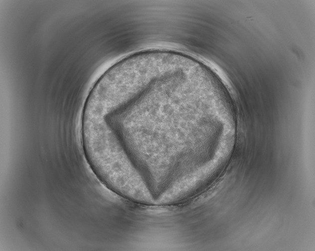 X0000112101199200909011118