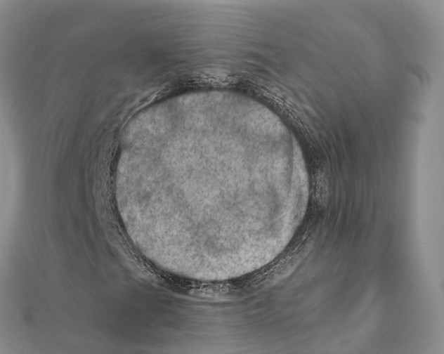 X0000112101201200909011117