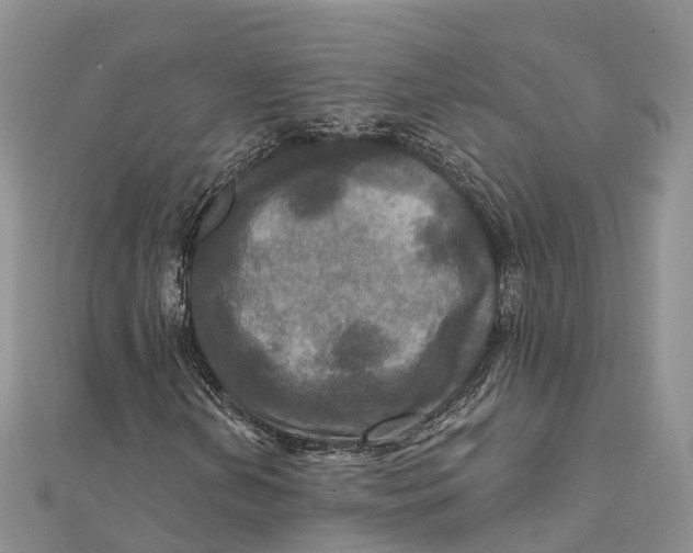 X0000112101202200909011117