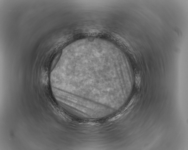X0000112101204200909011117