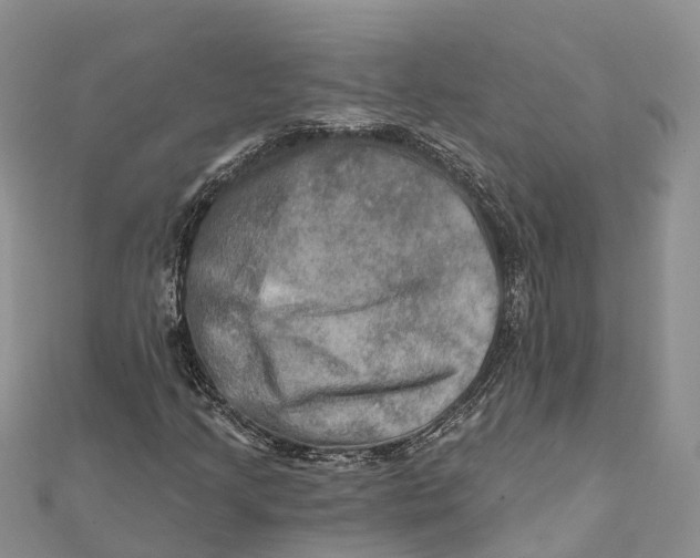 X0000112101205200909011117