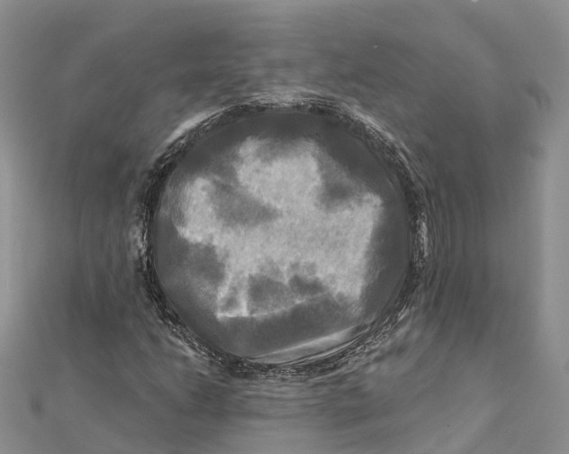 X0000112101206200909011117