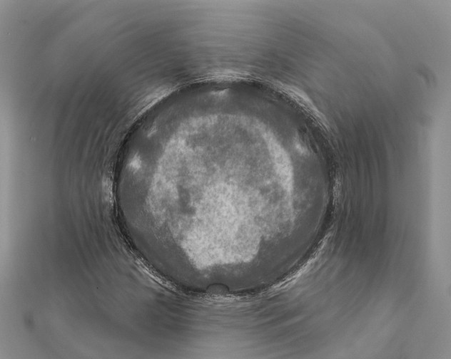 X0000112101209200909011117