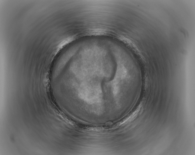 X0000112101210200909011117