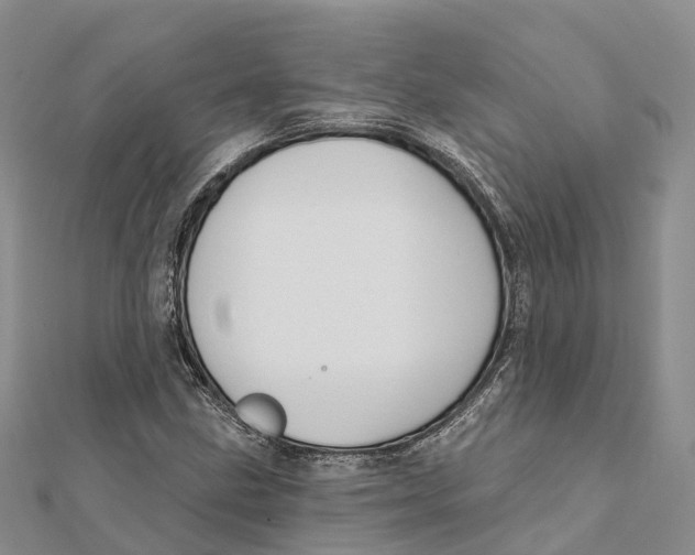 X0000112101211200909011117