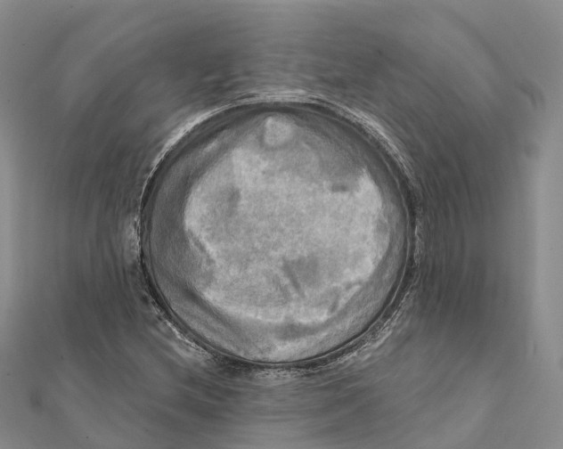 X0000112101212200909011117