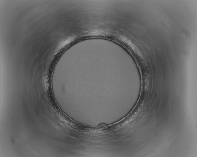 X0000112101213200909011117