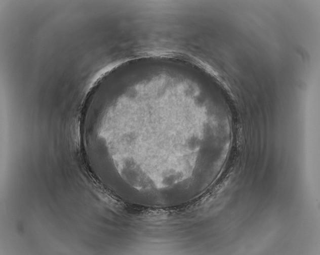 X0000112101214200909011117