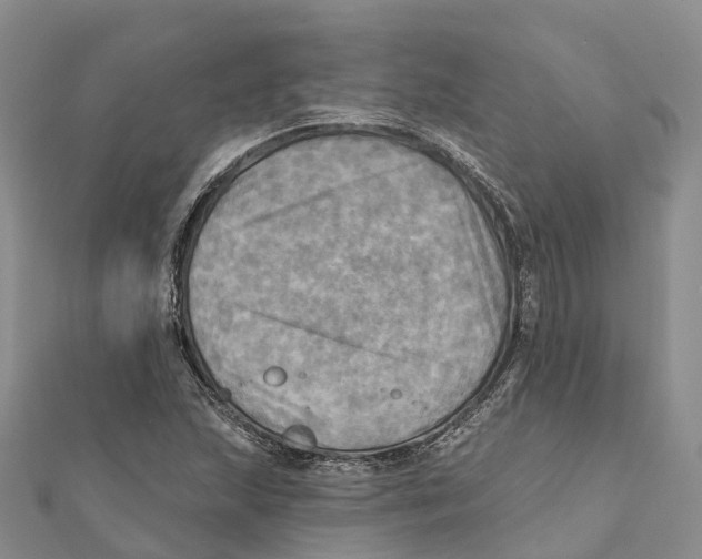 X0000112101215200909011117