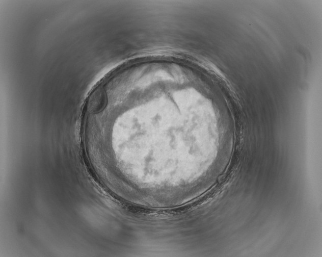X0000112101216200909011118