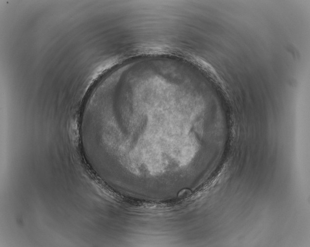X0000112101218200909011118