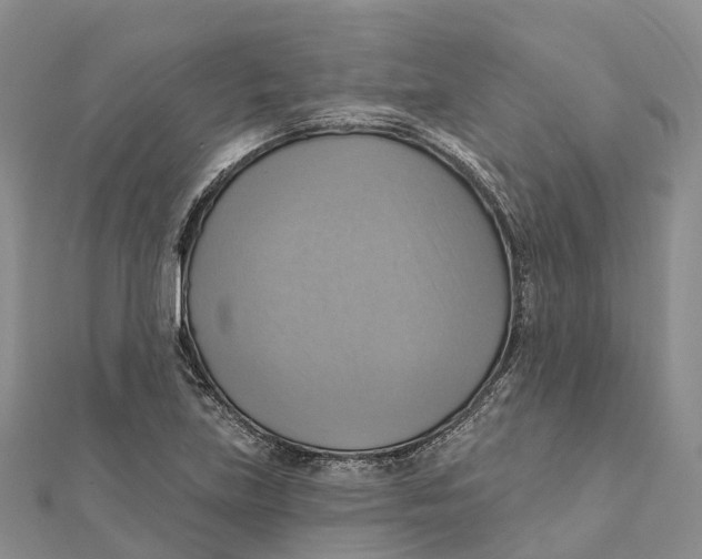 X0000112101219200909011118