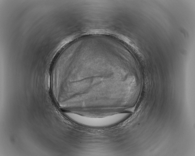 X0000112101221200909011118