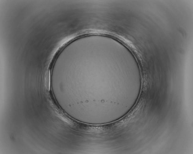 X0000112101223200909011118