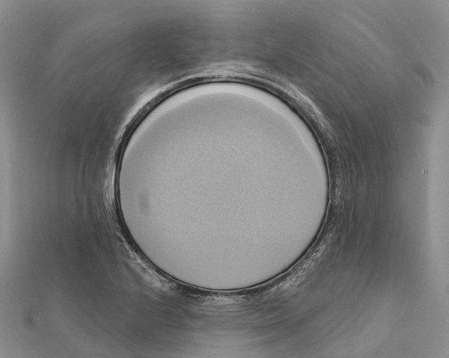 X0000112101224200909011118