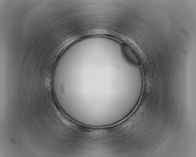 X0000112101225200909011118