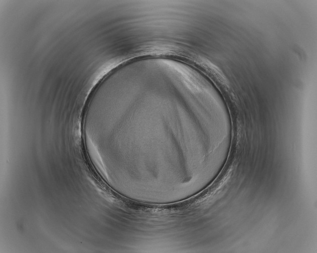 X0000112101226200909011118