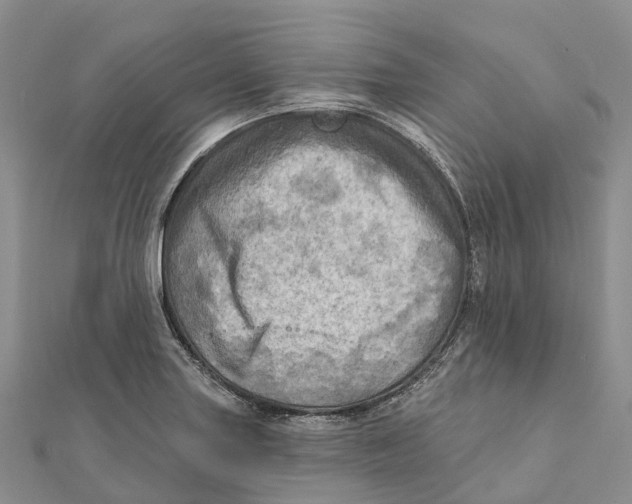 X0000112101227200909011118