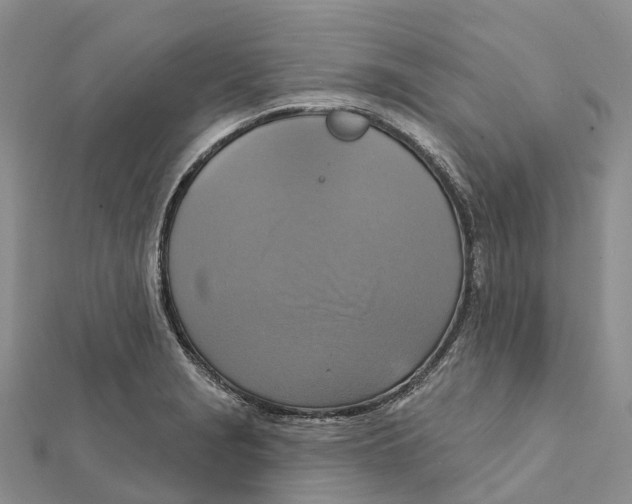 X0000112101229200909011118