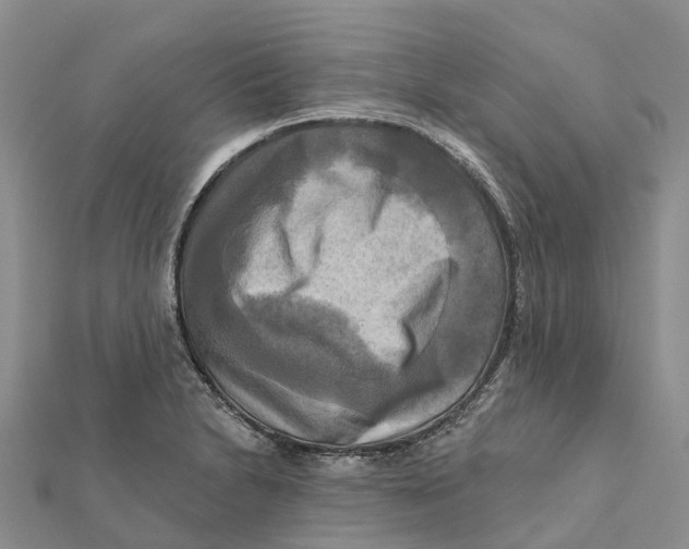 X0000112101230200909011118