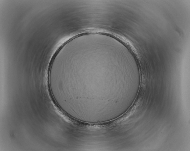 X0000112101231200909011118