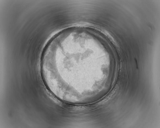 X0000112101232200909011118