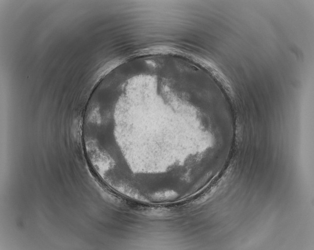 X0000112101233200909011118